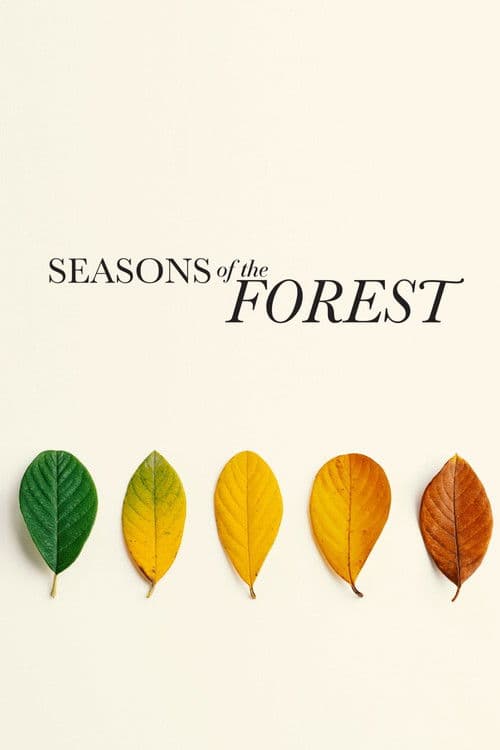 Poster for Seasons of the Forest