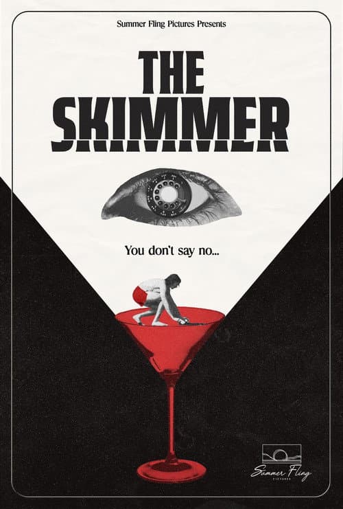 Poster for The Skimmer