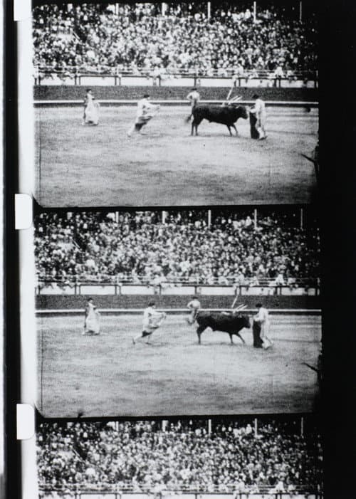 Poster for Corrida