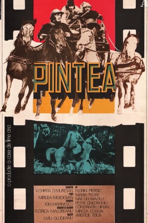 Poster for Pintea