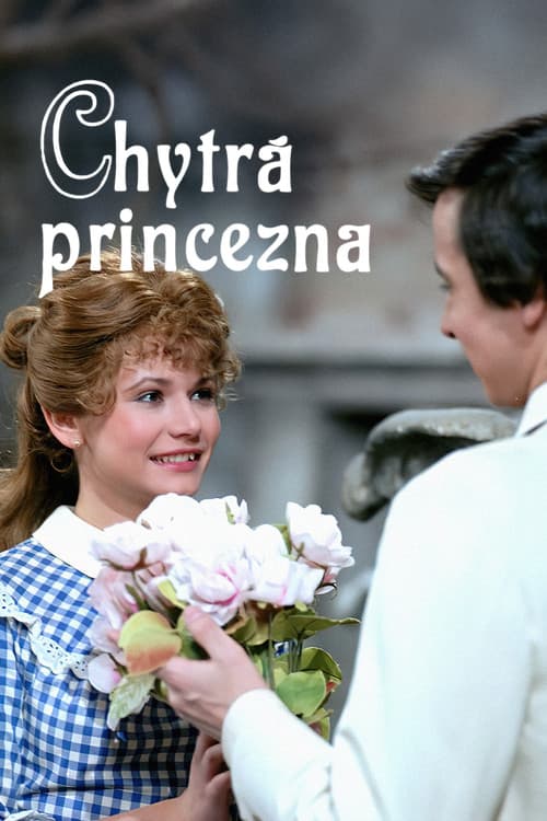 Poster for Chytrá princezna