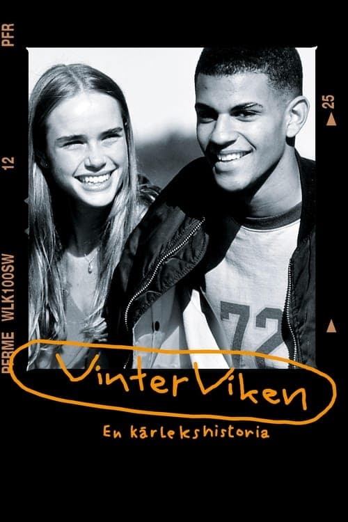 Poster for Winter Bay