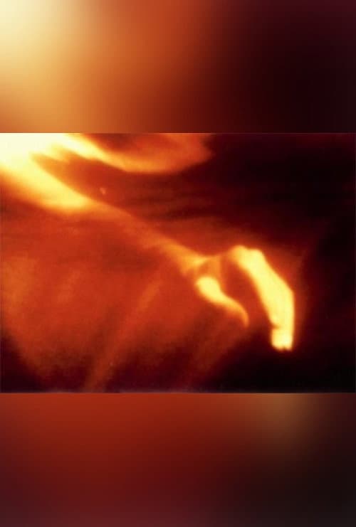 Poster for Fire Birth