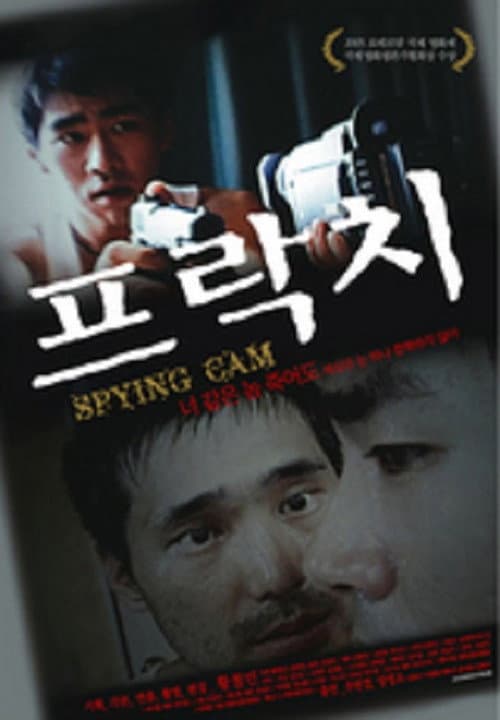 Poster for Spying Cam