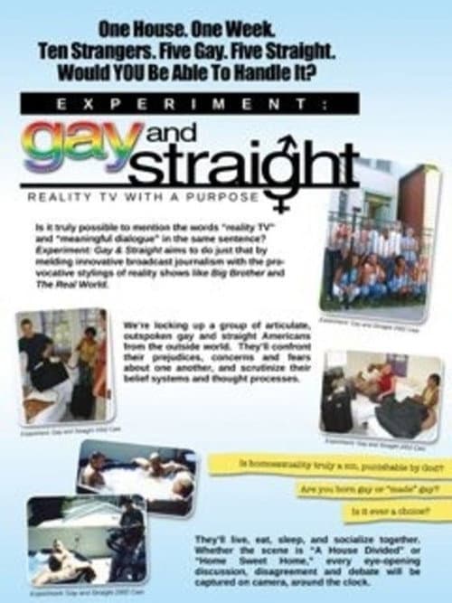 Poster for The Experiment: Gay & Straight