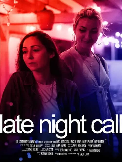 Poster for Late Night Call