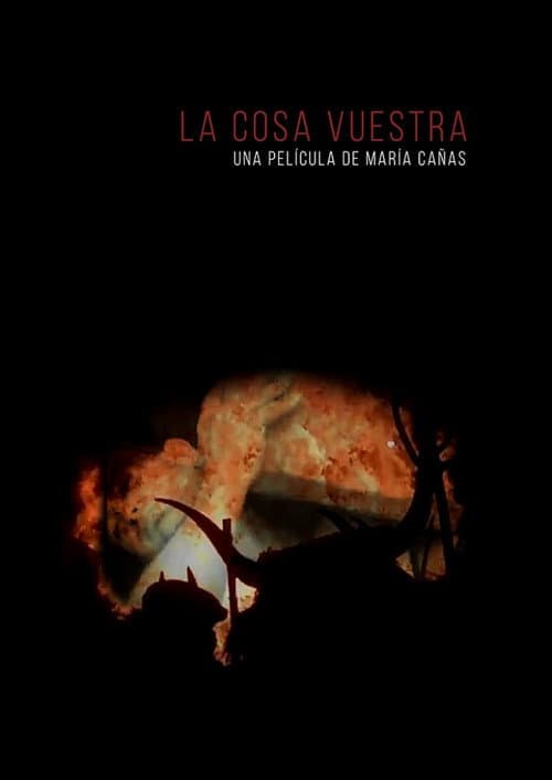 Poster for La cosa vuestra