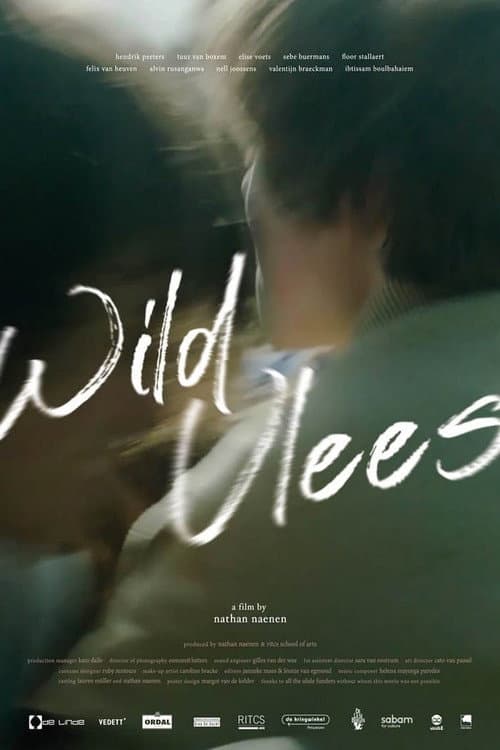 Poster for Wild Youth