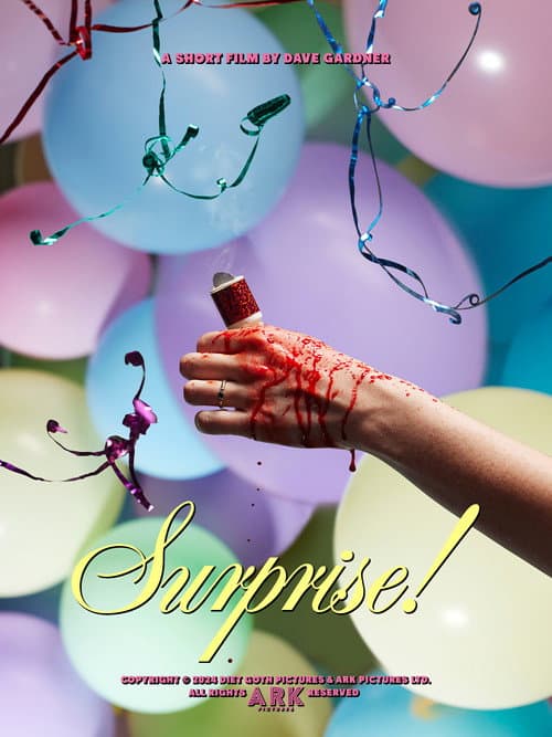 Poster for Surprise!