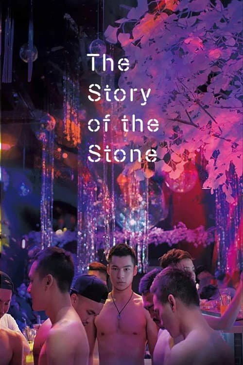 Poster for The Story of the Stone