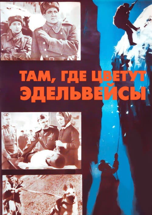 Постер до фільму «Там, де цвітуть едельвейси»