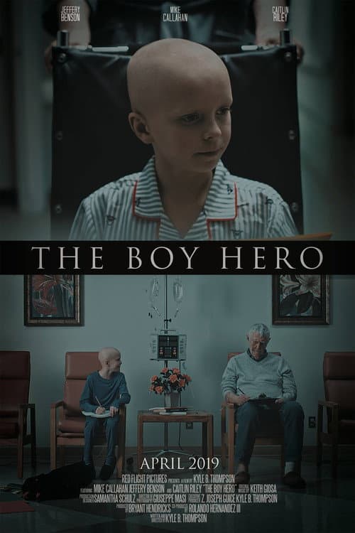 Poster for The Boy Hero