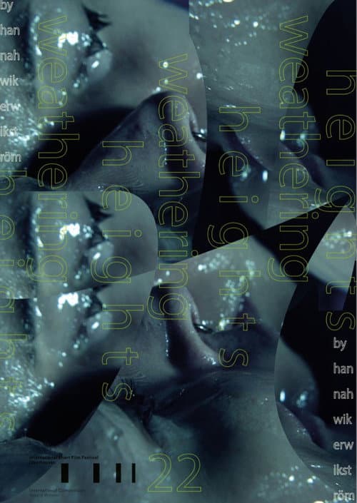 Poster for Weathering Heights