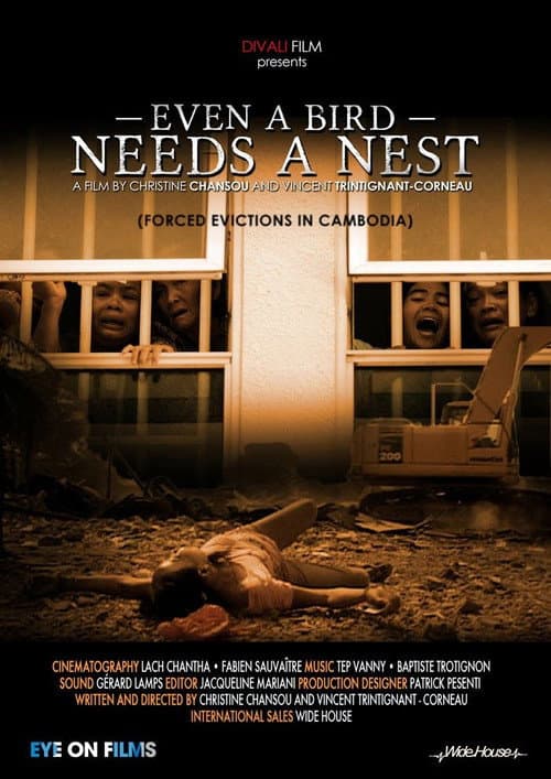 Poster for Even a Bird Needs a Nest