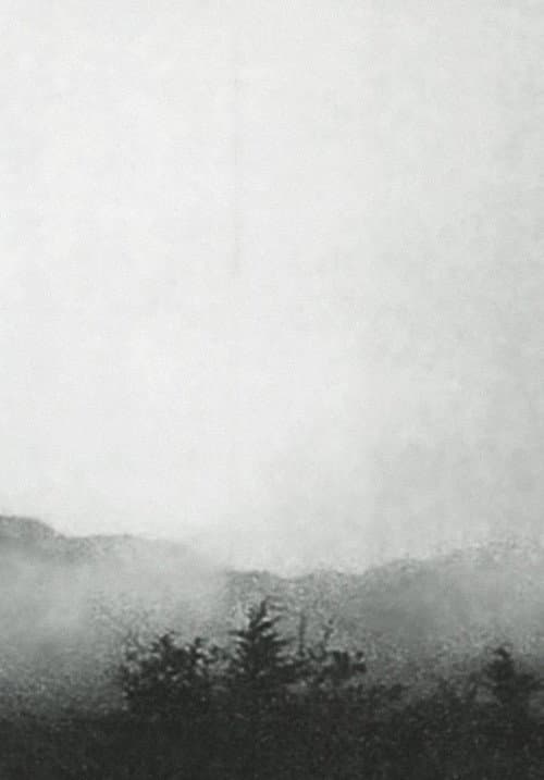 Poster for Mist