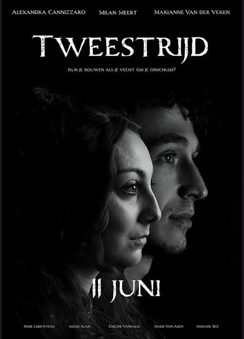 Poster for Tweestrijd
