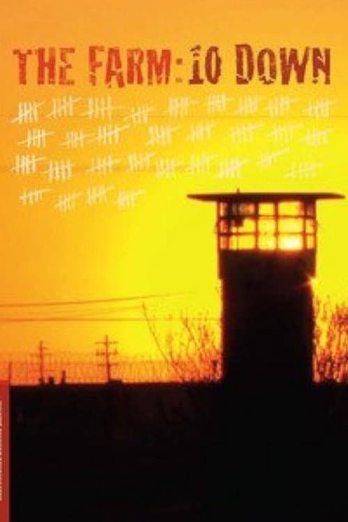Poster for The Farm: 10 Down