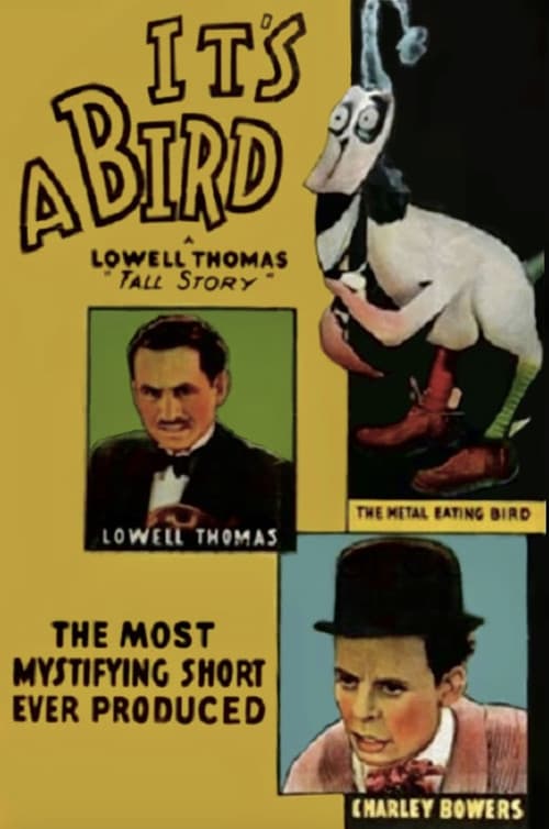 Poster for It's a Bird