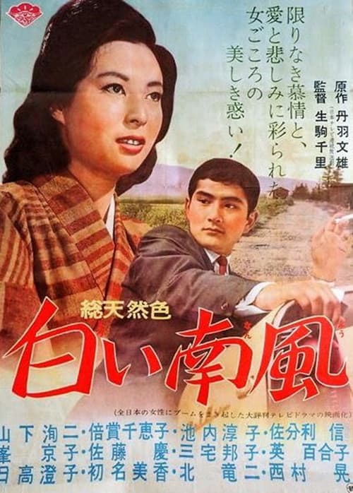 Poster for Shiroi minamikaze