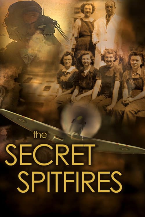 Poster for The Secret Spitfires