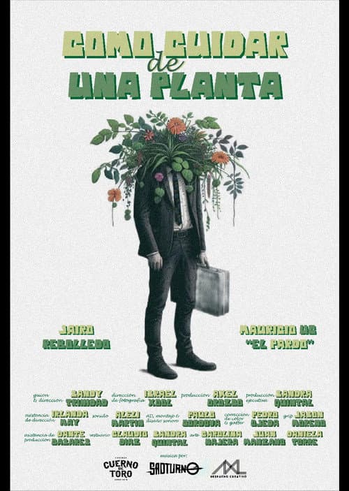 Poster for how to care for a plant