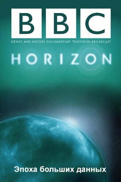 Poster for The Age of Big Data