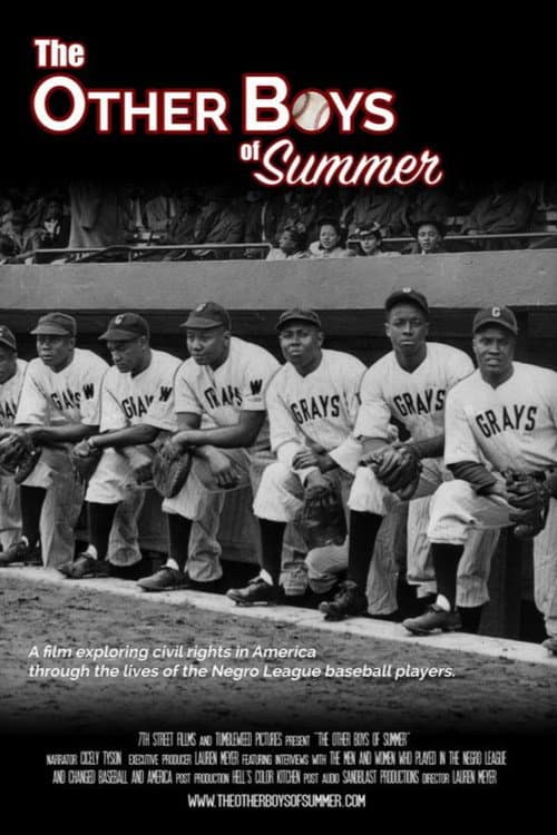 Poster for The Other Boys of Summer