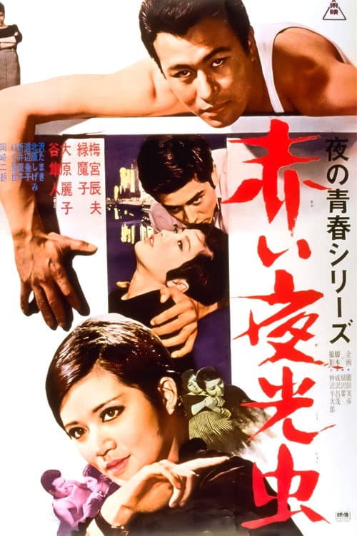 Poster for Nocturnal Lights