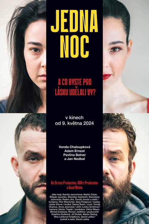 Poster for One Night