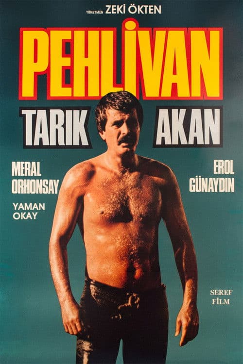 Poster for The Wrestler