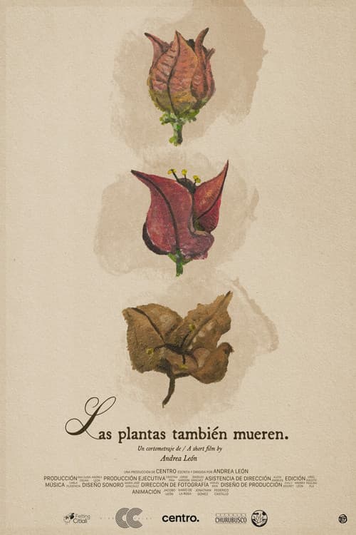 Постер до фільму «Las plantas también mueren»