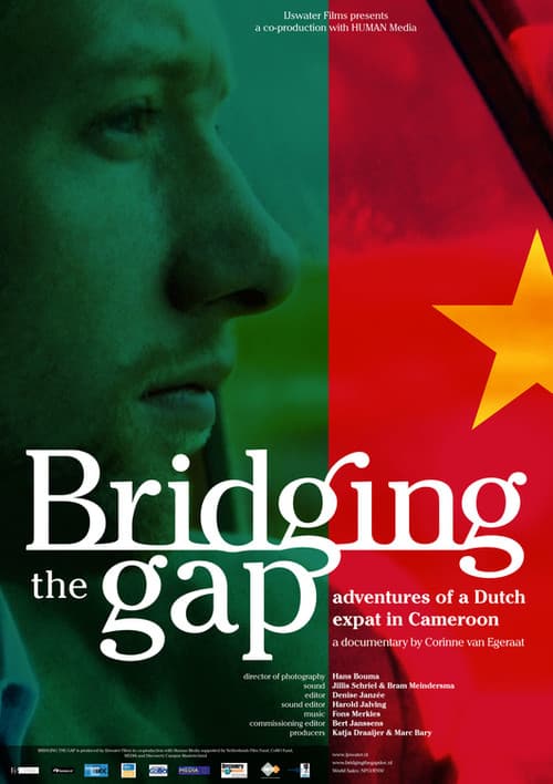 Poster for Bridging the Gap