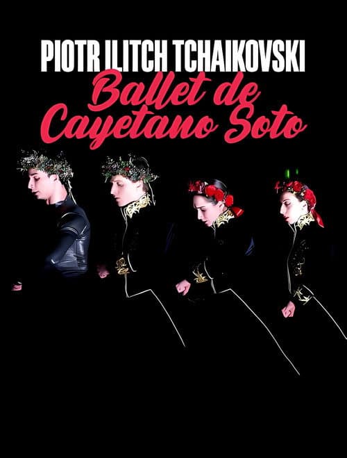 Постер до фільму «Peter I. Tschaikowski: Ballett von Cayetano Soto aus der Leipziger Oper»