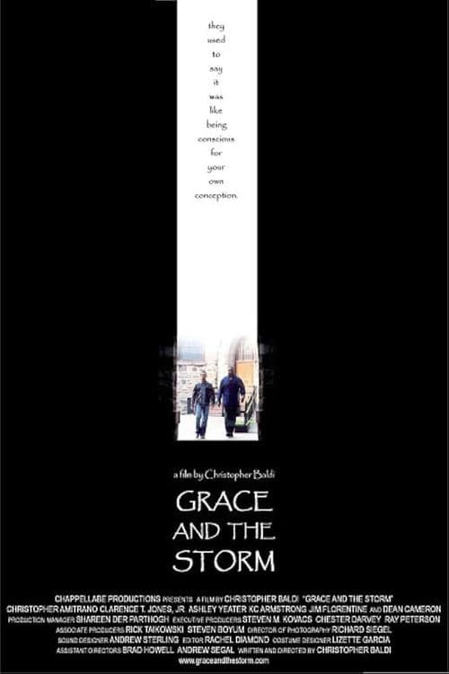 Poster for Grace And The Storm