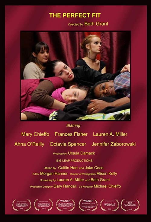Poster for The Perfect Fit