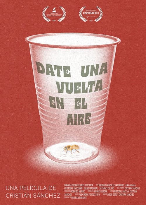 Poster for Take a Spin in the Air