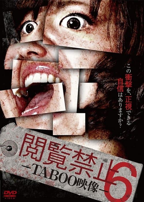 Poster for Viewing Prohibited 6 TABOO Video