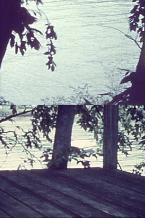 Poster for Silently, Bearing Totem of a Bird