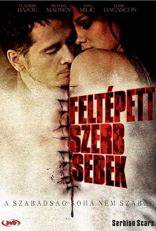 Poster for Serbian Scars