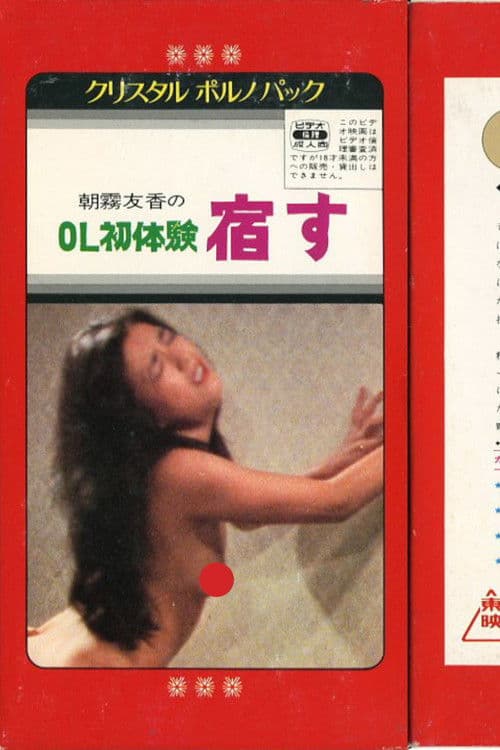 Poster for Office Lady Experience: Pregnancy