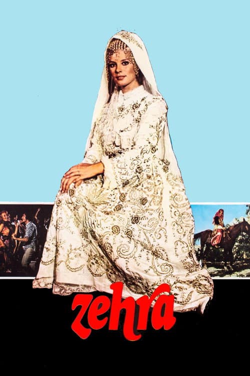 Poster for Zehra
