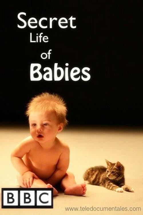 Poster for Secret Life of Babies