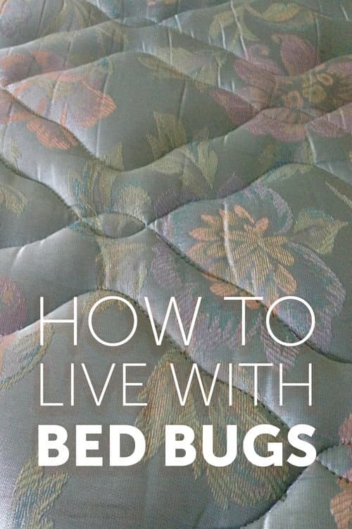 Poster for How to Live with Bed Bugs