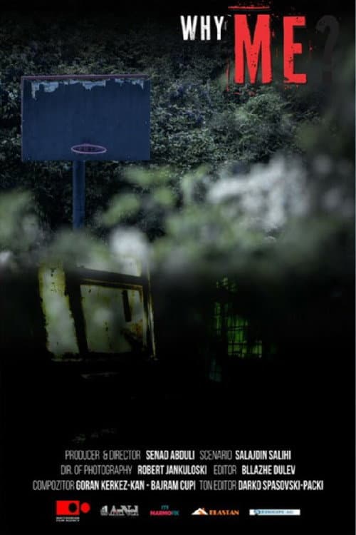Poster for Why Me?