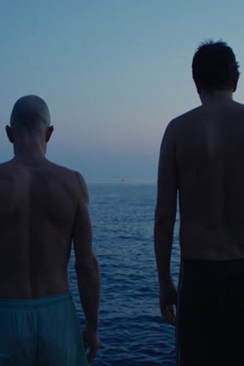 Poster for Home Is Where the Scars Are From