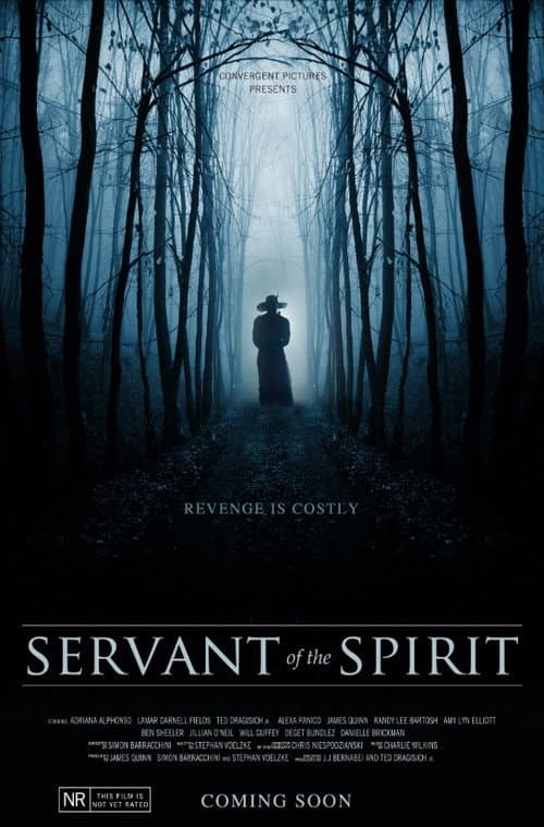 Poster for Servant of the Spirit