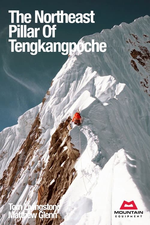 Poster for The Northeast Pillar Of Tengkangpoche