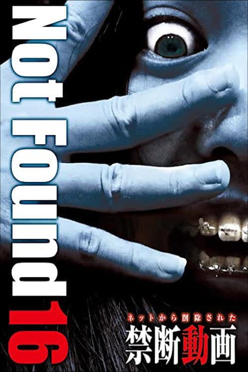 Постер до фільму «Not Found 16»