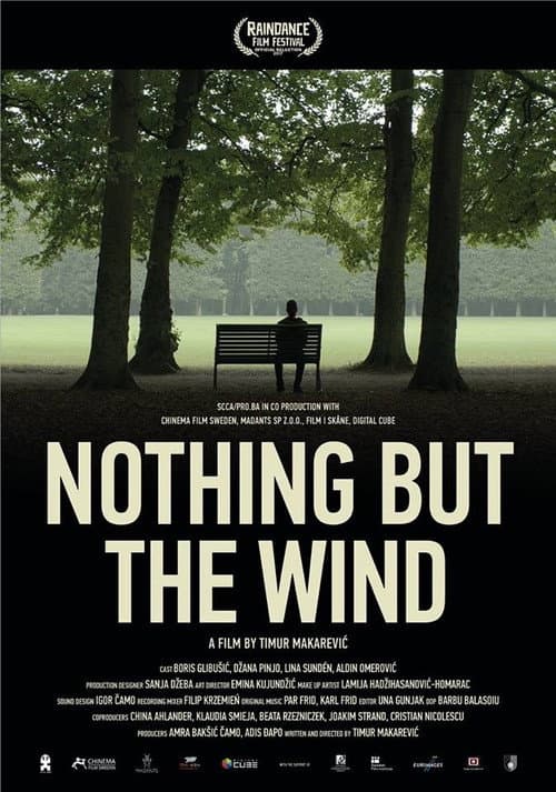 Poster for Nothing But the Wind