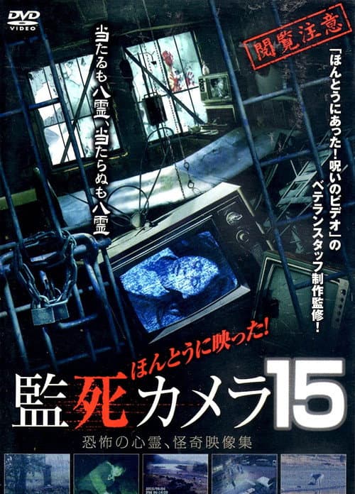 Poster for Paranormal Surveillance Camera 15